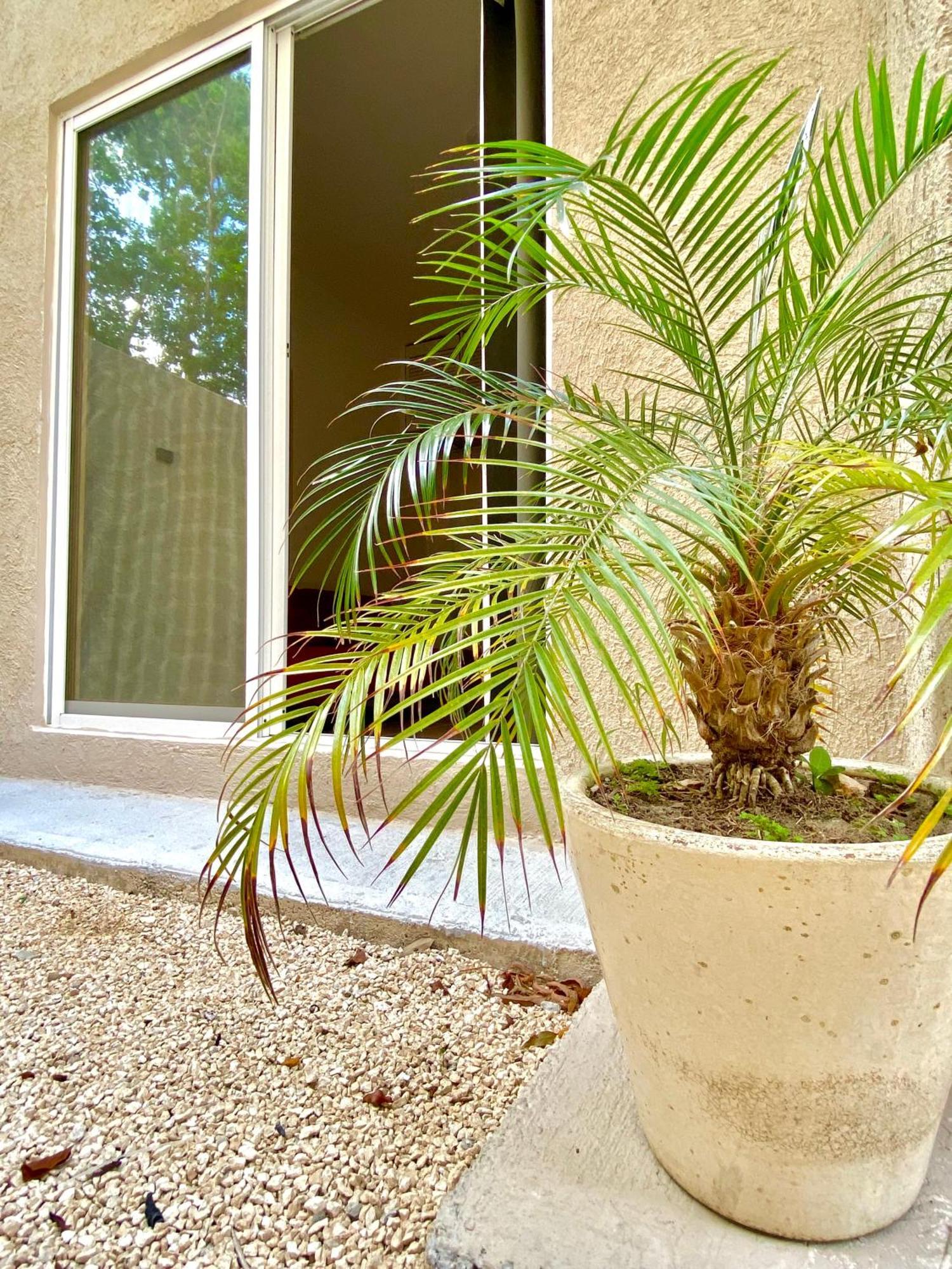 Apartament Casa Etna Cancún Zewnętrze zdjęcie